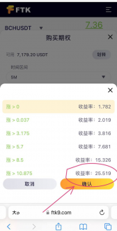 什么是BCH期权,BCH期权发展历史